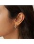 Twisted Elegance Hoop Earrings