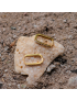 Maya Rectangle Hoop Earrings