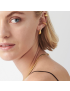Luna Drop - Crescent Gold Earrings