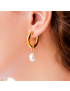 Isla Pearl Drop Earrings