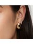 Miro Gold Dome Earrings