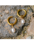 Isla Pearl Drop Earrings