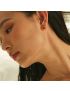 Scarlet Heart Earrings
