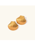 Marina Seashell Gold Earrings