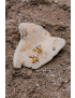 Lira Radiant Stud Earrings