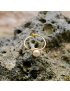 Luna Gold Pearl Ring
