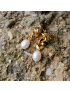 Aurelia Chain Pearl Earrings